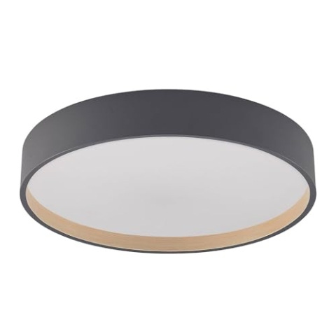 Lindby LED Deckenleuchte Todor dimmbar mit Leselampe (Modern) in Schwarz (1 flammig,) - Lampe Deckenlampe Wohnzimmerleuchte