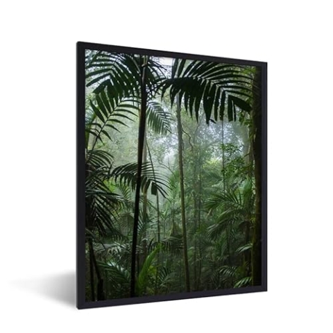 MuchoWow Poster Bilder Wanddeko Deko Wohnzimmer 60x80 cm Regenwald - Tropisch - Dschungel - Bäume - Pflanzen