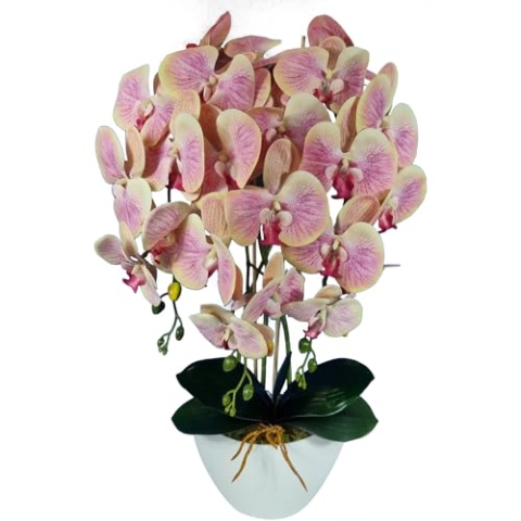 Damich Künstliche Orchidee im Topf Gummi - Modell 3pgbb, mit Moos, 60 cm hoch, 3 Stielen mit vielen Blumen (Teefarbe)