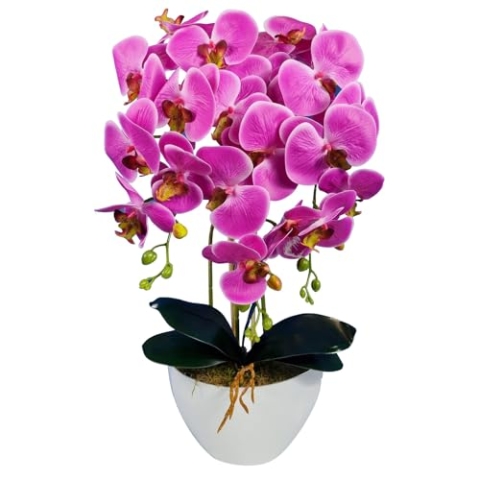 Damich Künstliche Orchidee im Topf Gummi - Modell 3pgbb, mit Moos, 60 cm hoch, 3 Stielen mit vielen Blumen (Rosa)