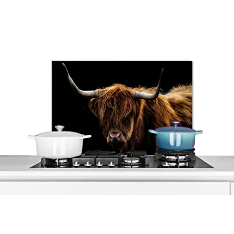 Spritzschutz Küche Küchenrückwand Alu Poster Bilder 70x50 cm Schottischer Highlander - Hörner - Schwarz - Tiere - Natur - Wild - Kuh