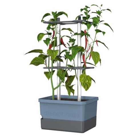 GUSTA GARDEN Charly Chili Chilitopf - Pflanzentopf mit Rankhilfe, Bewässerungssystem & Robustem Rahmen (Blau, Regular)