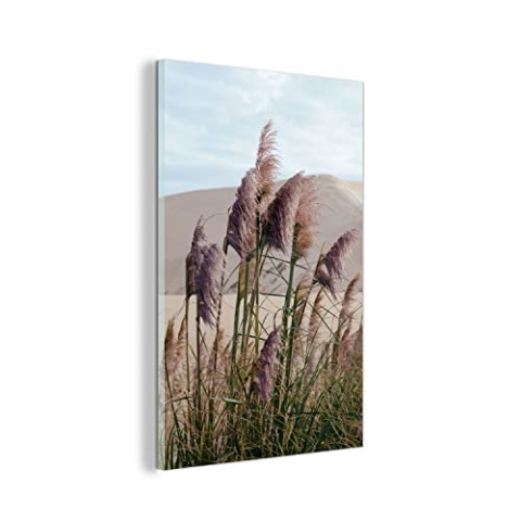 MuchoWow Glasbild Glasfoto Wandbild Bilder Deko 80x120 cm Pampasgras - Sand - Pflanzen - Düne