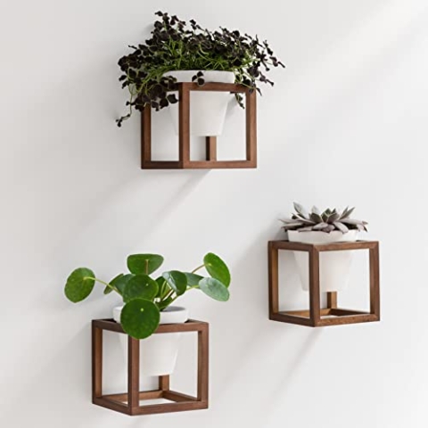 Kazai. Wandvasen -Lille- | Hängende Blumentöpfe in Echtholzrahmen | 3-teiliges Übertopf-Set aus Keramik und Holz für Wand, Tisch und mehr | Walnuss-Braun