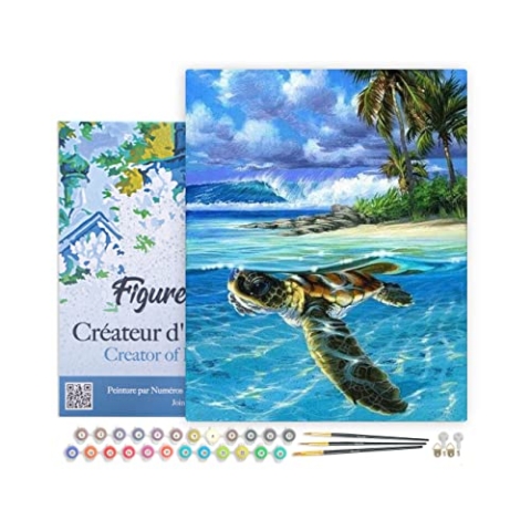 Figured'Art Malen Nach Zahlen Erwachsene Mit Rahmen Entspannte Schildkröte - Paint by Numbers Basteln DIY Bastelset 40x50cm Leinwand gespannt auf Holzrahmen