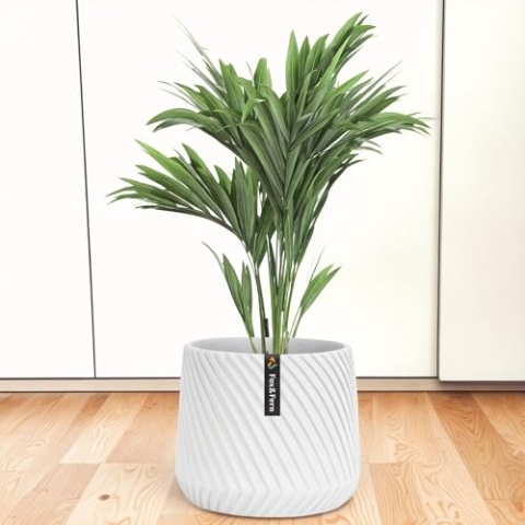 Fox&Fern Übertopf M mit 3D Riffelung - Blumentopf Gross inkl. Wasserabfluss - Blumentopf hoch 24cm - Übertöpfe für Zimmerpflanzen - Blumentopf 25cm Durchmesser - Pflanzentöpfe groß - Blumentopf weiß