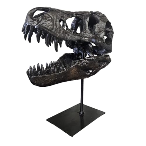T-Rex Schädel XXL auf Metallständer - Replica - Tyrannosaurus Rex - Dinosaurier - Fossil - Luxus Deko - 30x25 cm