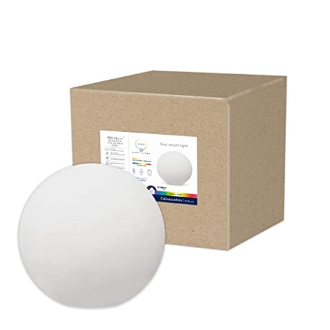 tint Smarte Outdoor LED Leuchtkugel Calluna Ø 50cm, Gartenkugel, Kugelleuchte, Farbwechsel RGB, E27 Fassung, ip44 für Außen, Zigbee, funktioniert mit Alexa, Optik: weiß…