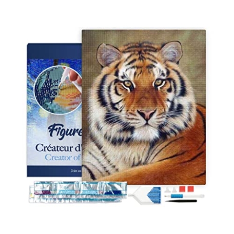 Figured'Art Diamond Painting Erwachsene 40x50cm Mit Rahmen Ganze Leinwand gespannt Tigerauge 5D Bilder Eckige Steine - DIY Set Basteln