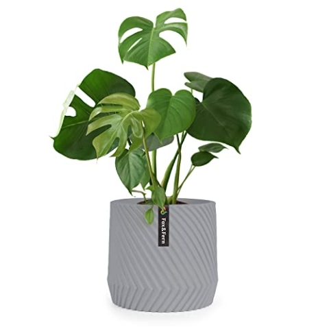 Fox&Fern Übertopf L mit 3D Riffelung - Blumentopf Gross inkl. Wasserabfluss - Blumentopf hoch 27cm - Übertöpfe für Zimmerpflanzen - Blumentopf 30cm Durchmesser - Pflanzentöpfe groß - Blumentopf grau