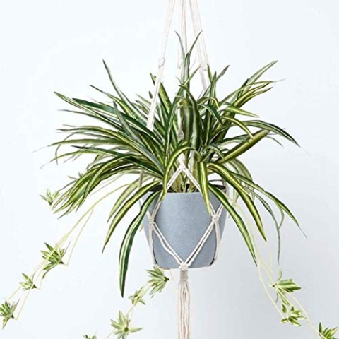 Homescapes hängende Kunstpflanze im Topf mit Makramee-Hängeampel, künstliche Hängepflanze Chlorophytum Comosum/Grünlilie im Melamin-Topf, künstliche Pflanze im Blumenampel für Innen-Dekoration, 95 cm