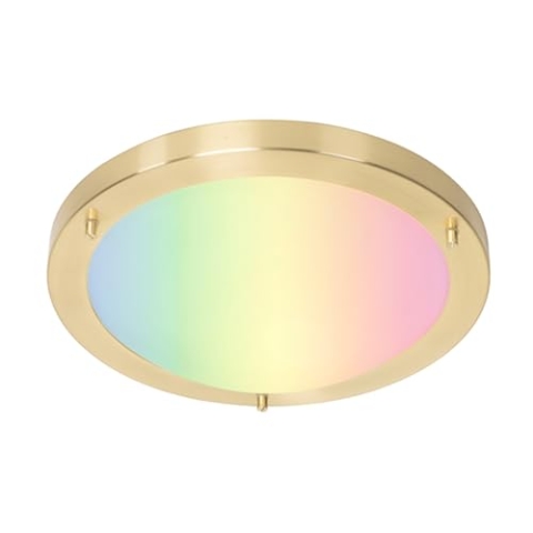 Qazqa - Modern Smarte Außen Deckenleuchte I Deckenlampe I Lampe I Leuchte Gold I Messing 31 cm IP44 inkl. Wifi A60 - Yuma Dimmer I Dimmbar I Außenbeleuchtung - Stahl Rund - LED geeignet E27