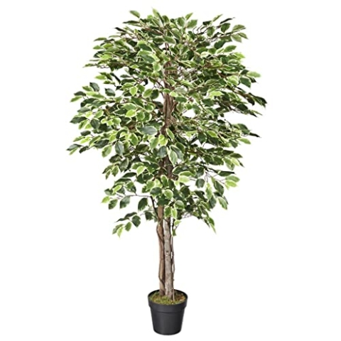 HTT Decorations - künstliche Pflanzen - Ficus/Feige - inWitgroen - 150 - Grünpflanze - im Topf - Deko - Zimmerpflanze