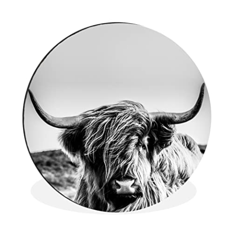 MuchoWow Wandbild Rund Wanddeko Deko Wohnzimmer Bilder 60x60 cm Kuh - Schottischer Hochländer - Schwarz - Weiß - Tier - Natur - Wildtiere