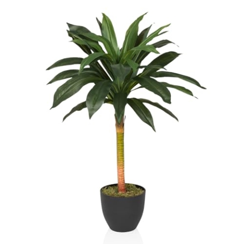 hjh OFFICE Kunstpalme 85cm Dracaena I Künstlicher Drachenbaum Kunstpflanze, Deko Palme für Büro Wohnzimmer