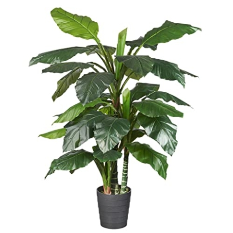 HTT Decorations - Künstlicher Philodendron - Hochwertige Kunstpflanzen - 180 x 60 cm hoch, Untertopf mit 16 cm Durchmesser