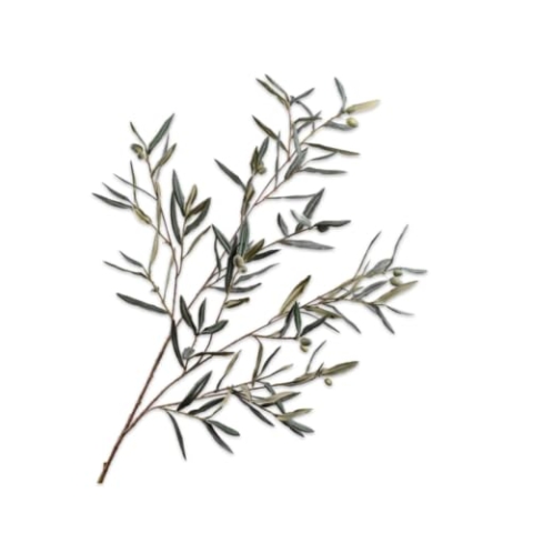 Silk-ka Kunstblume Olivenzweig Grün-Grau 123 cm