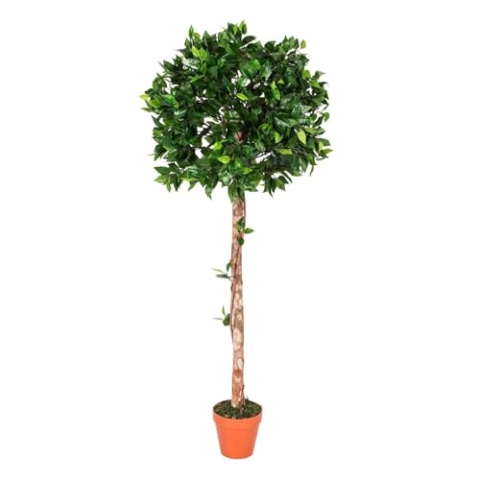 HOMESCAPES Künstlicher Ficus benjamini grün 125 cm, Formschnitt-Baum Geigenfeige mit Echtholz-Stamm im Topf – Kunstbäume wie echt