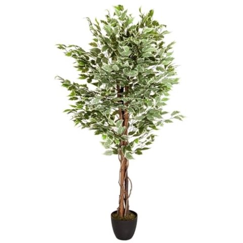 hjh OFFICE Kunstpflanze FICUS Benjamini Höhe 165 cm Grün/Weiß 1008 Blätter Deko Zimmerpflanze Birkenfeige künstlich, 871000