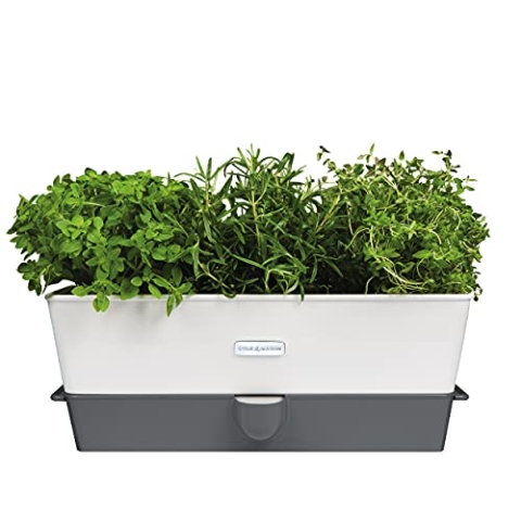 Cole & Mason Burwell 3-Fach Kräutertopf Selbstbewässernd, Kräutertopf Balkon/Kräutergarten für die Küche/Für Frische Küchenkräuter, Enthält 12 x Pads