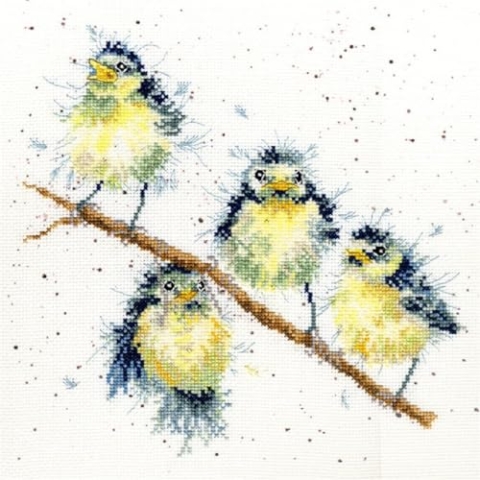 Bothy Threads Kreuzstich-Set Süßes Tweet, 26x26cm, XHD4, Zählmuster