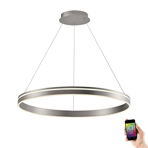 Paul Neuhaus Q-VITO LED Pendelleuchte, Works with Alexa - Smart Home, Fernbedienung CCT warmweiß - kaltweiß (79,4cm Silber)…