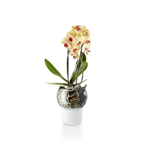 EVA SOLO | Orchideentopf 15cm Frost | Selbstbewässernder Orchideentopf | Frosted Glass