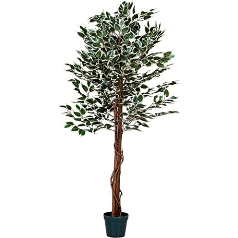 PLANTASIA Kunstpflanze Ficus Benjamini 160 cm