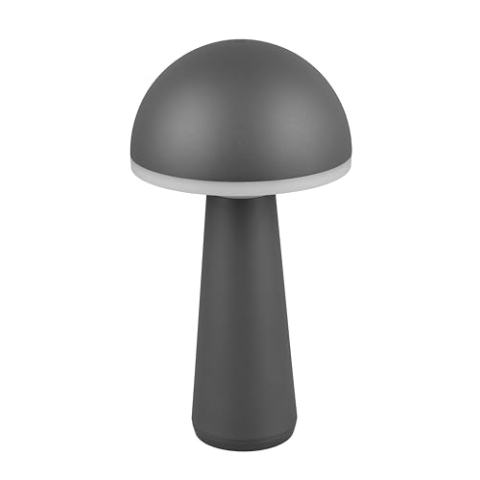 Reality Leuchten LED Außen Akku Tischleuchte Fungo R57716142, Metall Anthrazit, Kunststoff Weiß, inkl. 2 Watt LED, dimmbar, Lichtfarbe einstellbar, Ladestation