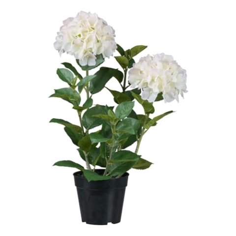 CREATIV green künstliche weiße Hortensie 58 cm im schwarzen Kunststofftopf I Hortensie wie echt im Topf I künstliche Hortensie mit 5 Zweigen & 2 Blüten für Innen I hochwertige Dekopflanze