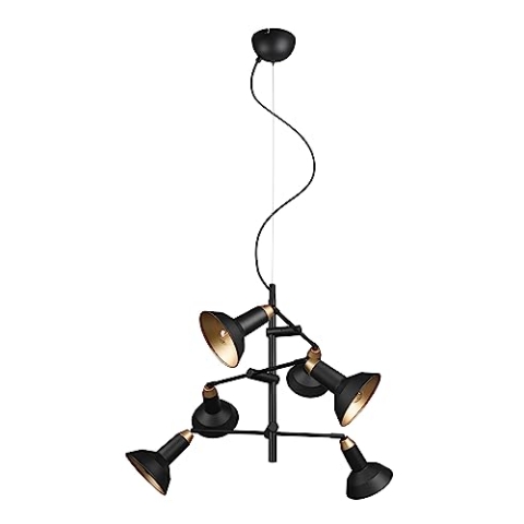 Trio Leuchten Pendelleuchte Roxie 311900632, Metall Schwarz matt/goldfarbig, exkl. 6x E14
