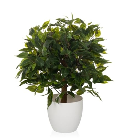 hjh OFFICE Kunstpflanze 65 cm FICUS II Deko Pflanze künstlich, Birkenfeige, pflegeleichter Kunstbaum