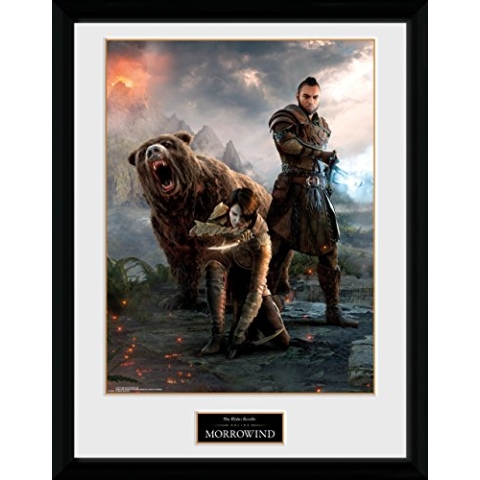 GB Eye Ltd GB Eye Gerahmtes Poster, Elder Scrolls Online morrowind, Trio, 30 x 40 cm, verschiedene