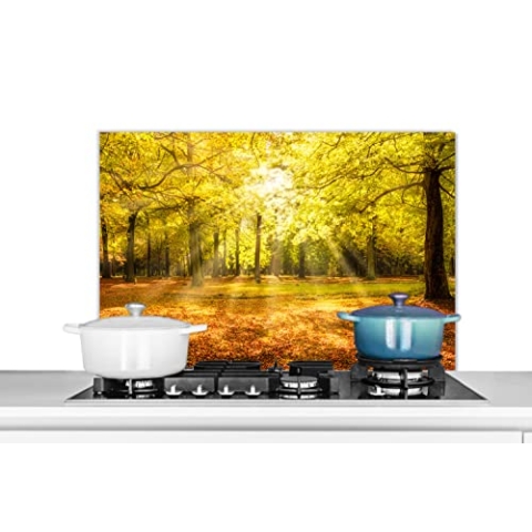 Spritzschutz Küche Küchenrückwand Alu Poster Bilder 80x55 cm Baum - Natur - Sonne - Landschaft - Wald