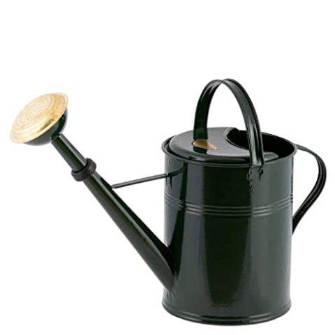 PLINT 5L Watering Can - Modern Style Watering Pot for Indoor and Outdoor House Plants - Coloured Galvanised Powder Coated Steel - Metal Design with Narrow Spout and High Handle - (Green)