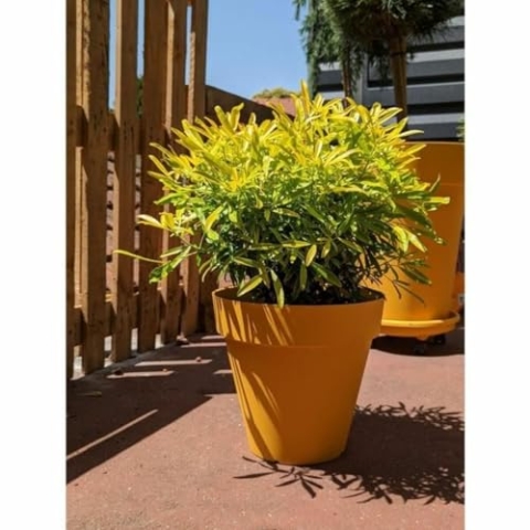 Riviera Blumentopf gelb Ø 60 cm