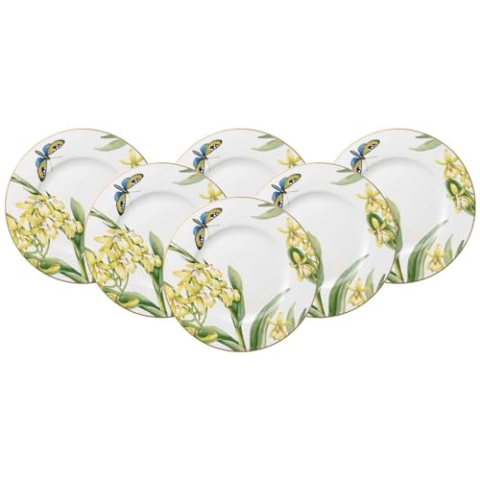 Villeroy & Boch Amazonia Anmut Frühstücksteller ø 22,5 cm, 6er Set, Premium Bone Porzellan, Bunt