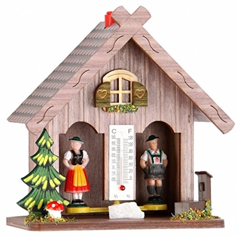 Trenkle Wetterhaus violett TU 894 lila