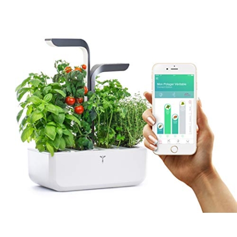 VERITABLE - CONNECT Garden - Indoor-Anbau mit automatischem LED-Beleuchtungssystem - Über die APP können Sie die Anlagenentwicklung verfolgen - Kit mit 4 Samen inklusive (Infinity Grey)