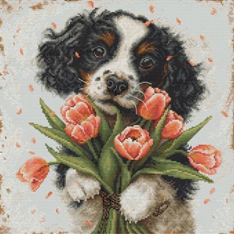 Luca-S Kreuzstich Stickpackung Der Cocker Spaniel-Welpe, Zählmuster