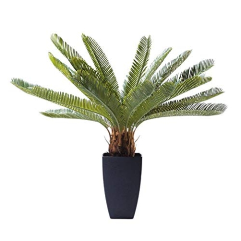 Kare Design Deko Pflanze Cycas Tree, Braun/Grün, Kunstpflanze, Kunstpalme, Dekoration, Pflegeleicht, Bad, Schlafzimmer, Küche, Wohnzimmer, 80x42x22 cm (H/B/T)