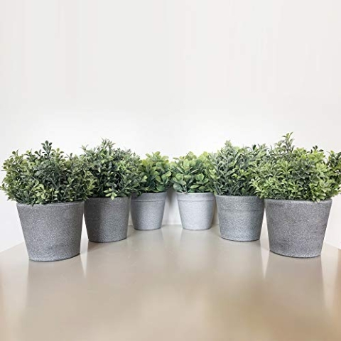 Pack 6 künstliche Versorgungsanlagen von 18 cm mit grauem Topf