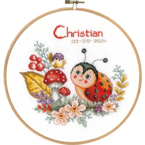 Vervaco Gezählter Kreuzstich Stickpackungen mit Stickrahmen Stickset Baby Geburt Marienkäfer Wanddekoration Handarbeit Set für Erwachsene Kreatives Handwerk ca. 20 x 20 cm Geburt Geschenk Hausdeko