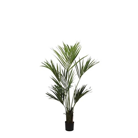 Mica decorations Kentiapalme - Kunstpflanze - H150 cm