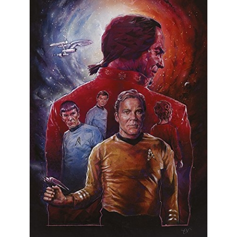 Star Trek Leinwanddruck, Mehrfarbig, 60 x 80 cm
