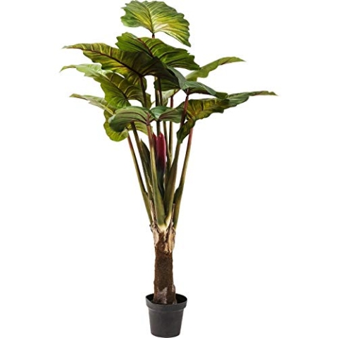 Kare Design Kunstpflanze Rainforest, Grün, Höhe 160cm, Dekoration, Accessoires, Natur, Wohnzimmer, Flur, Schlafzimmer, 160x52x52 cm (H/B/T)