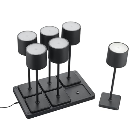 Reality Leuchten LED Akku Außen Tischleuchten Set Fernandez R5409662, 6x Akku Tischleuchten mit 6er-Ladestation, Metall/Kunststoff Schwarz matt je 1.5 Watt LED