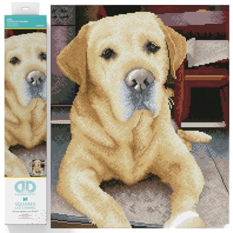 DIAMOND DOTZ 2592631 Original 5D Diamond Painting Squares Set, Labrador, DIY Diamant-Malerei-Kit mit quadratischen Glitzersteinen für Erwachsene und Kinder ab 12 Jahren, Intermediate