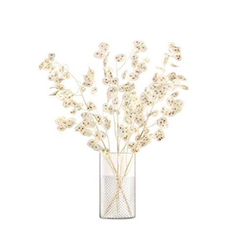 LSA G1645-25-148 Wicker Vase/Sturmlicht, Glass, Klar, h25cm
