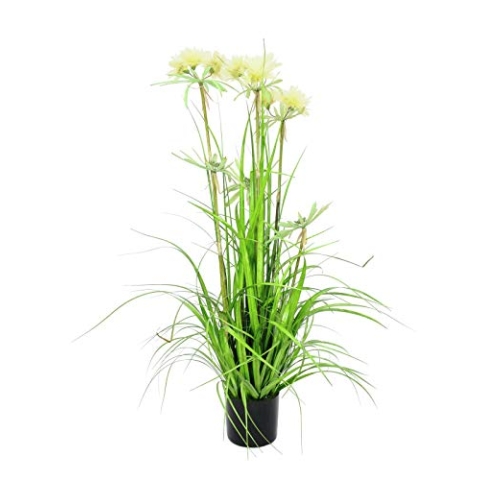 EUROPALMS Sterngras, künstlich, 120cm | Auffallendes Frühlingsgras